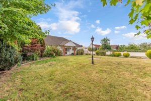 Photo 41- click for photo gallery